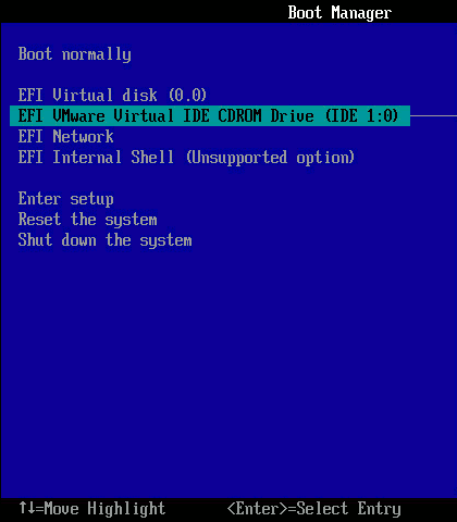 vds-boot-vmware-uefi-3.png