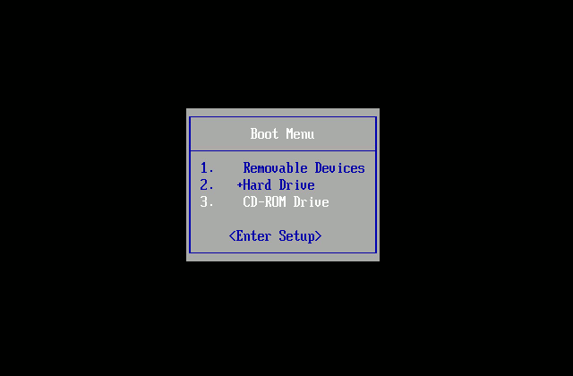vds-boot-vmware-bios-2.png