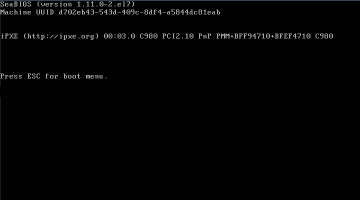 vds-boot-openstack-bios-1.png